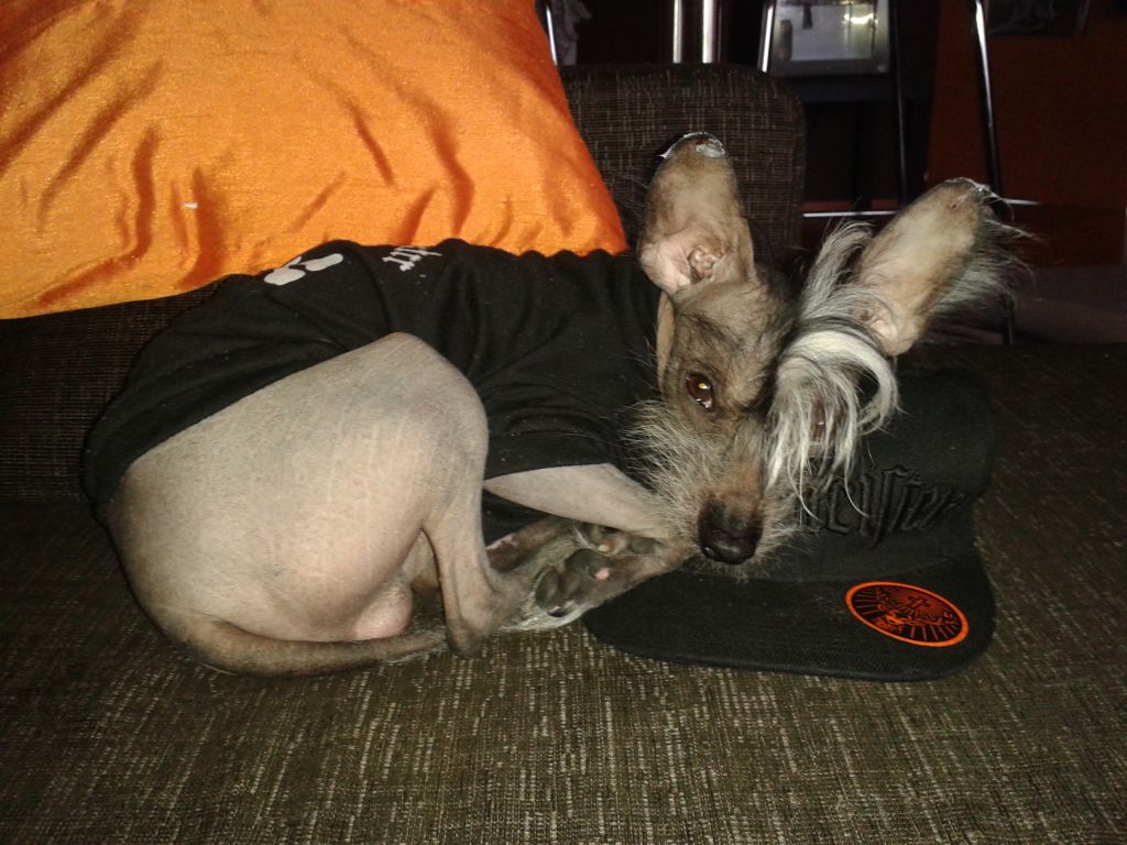 Namilon Irokeesi Päällikkö