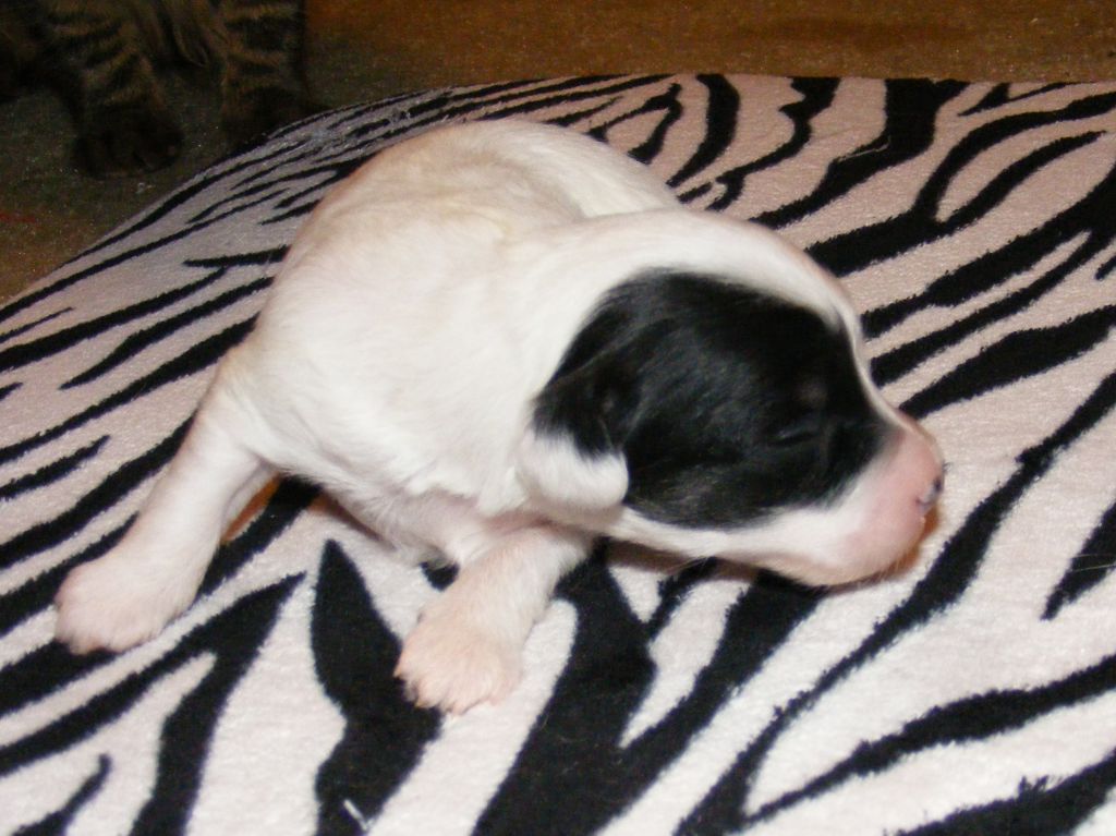 JRF-Evercrest Can't Stand Losing You