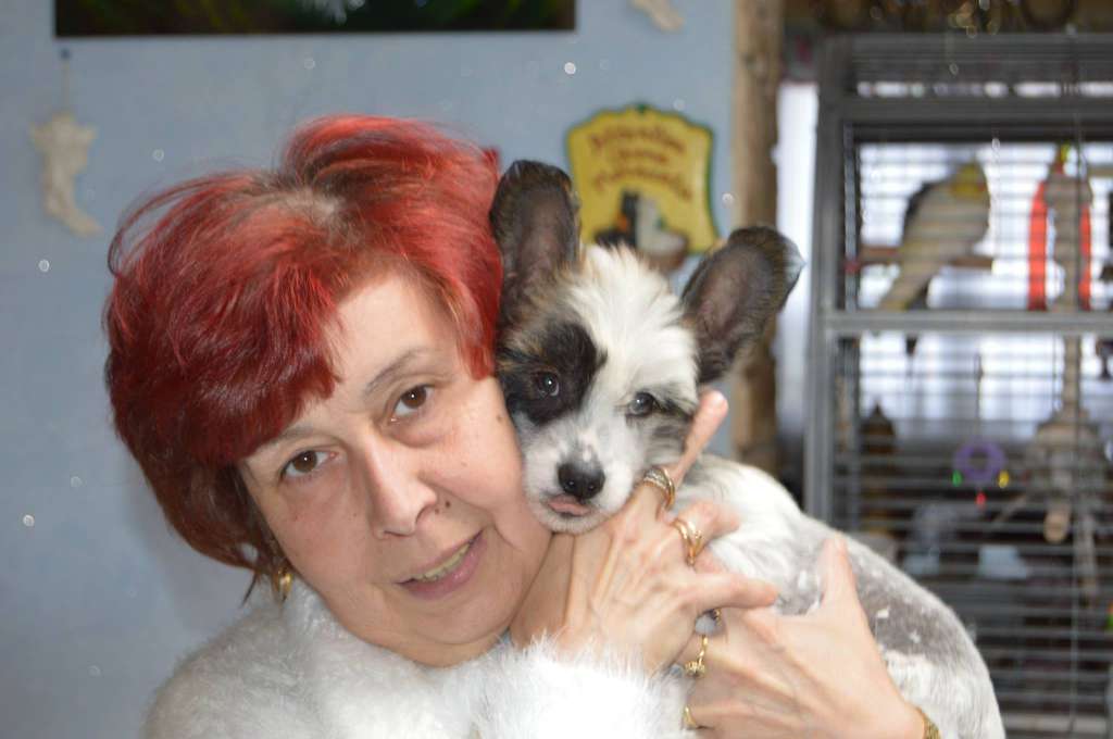 Irvin Dark Crusader Dolce Dea Apriori