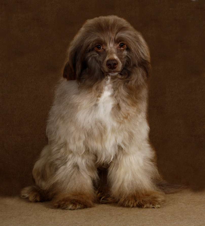 Milisenta Marvin Bi-Lav Plus