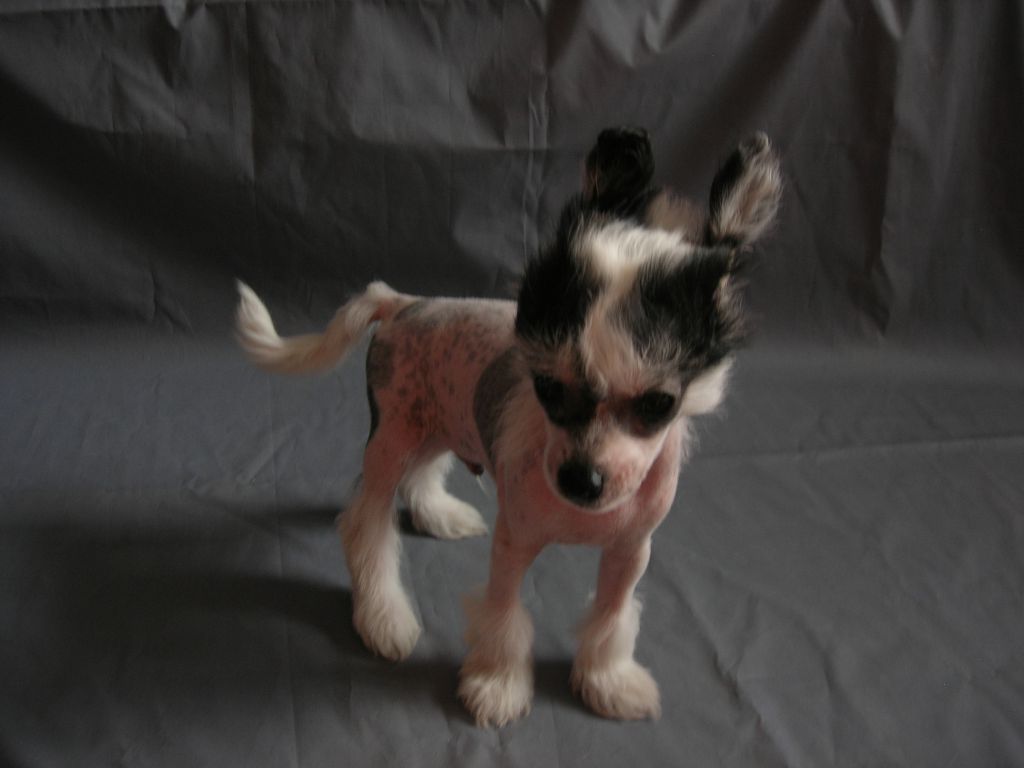 Rovanni  Djekattolo Jerom