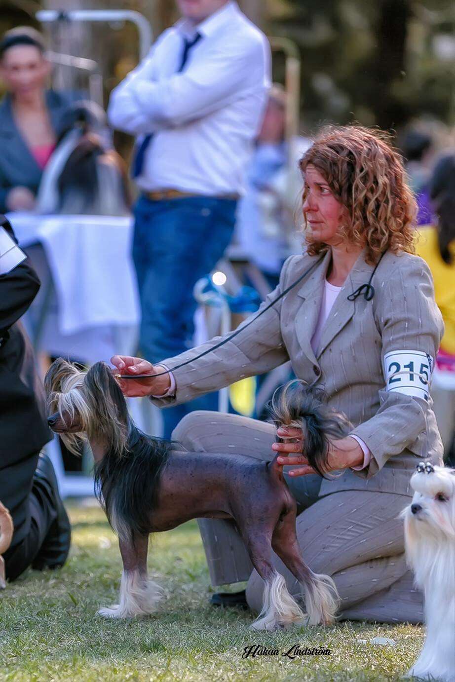 Shaylee Liang Brisa de Amor