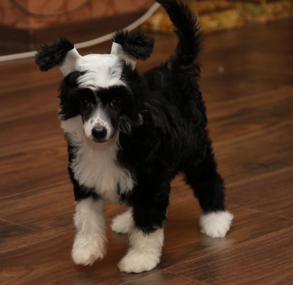 Premier Mari Emmanuelle