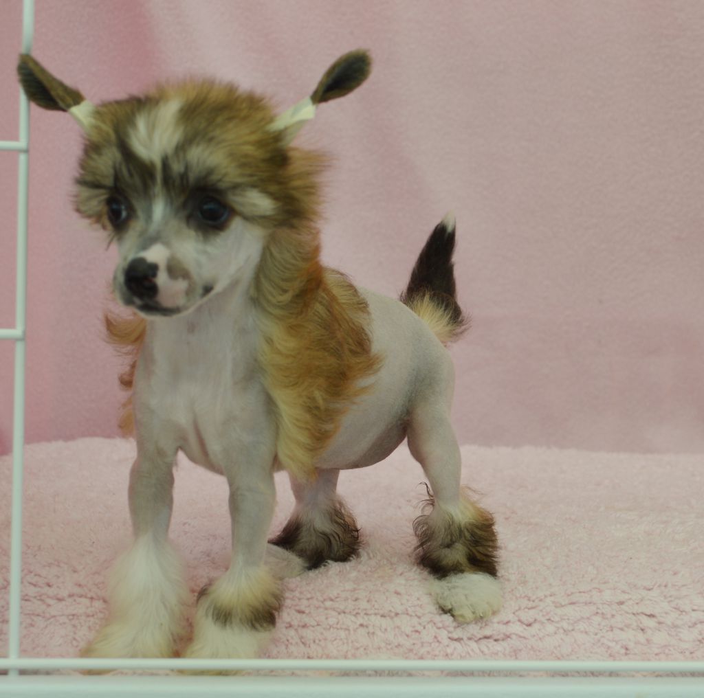 In My Mind von Shinbashi