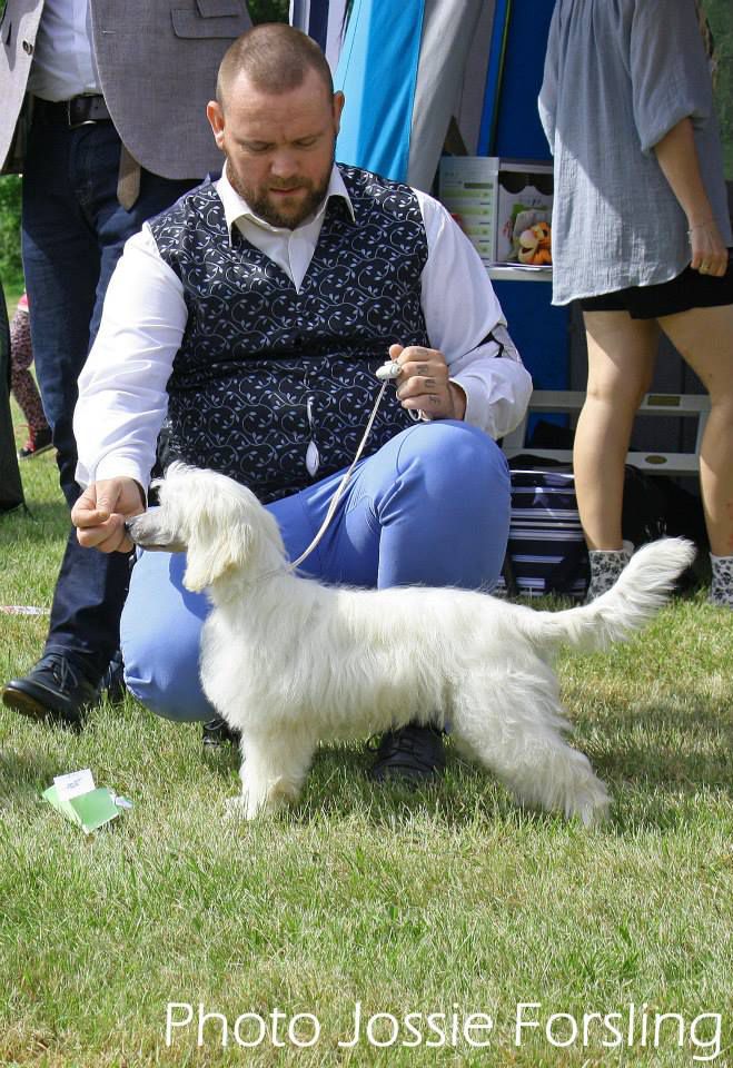 Love Bites Leader of The Pack