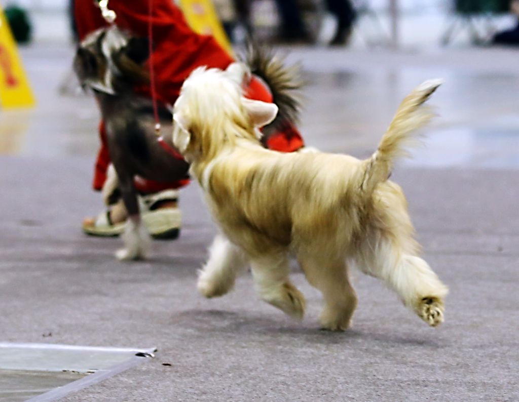 Make a Mistake Impossible