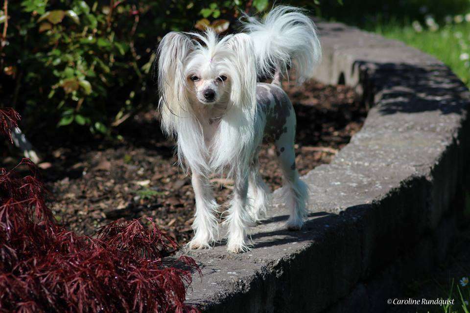 Flywheel's Athena Rich