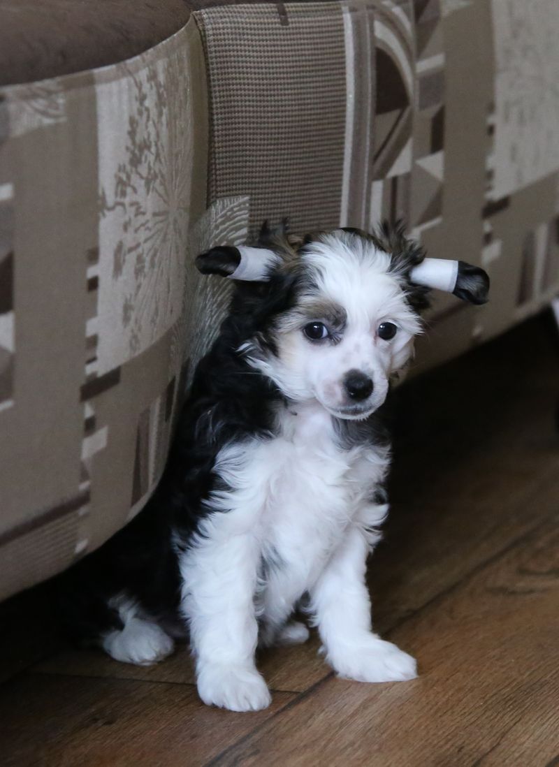 Alfa Laval learning to win