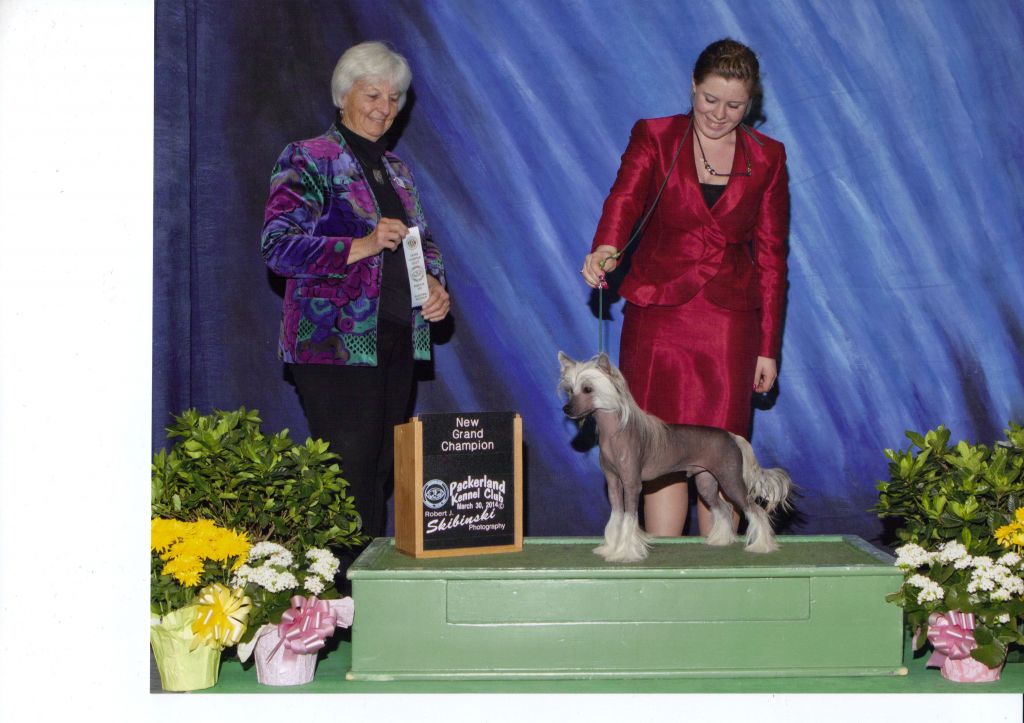 Country's You Rock My World