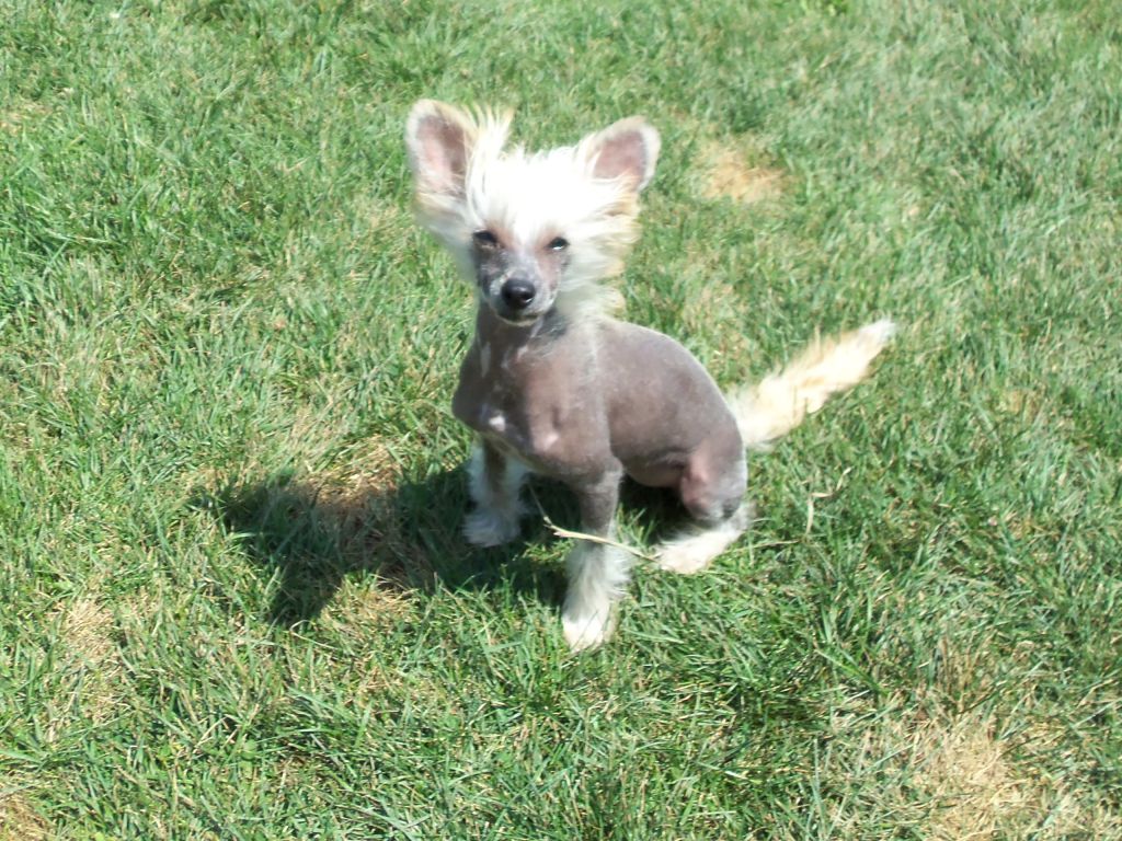 Country's Beach Bunny