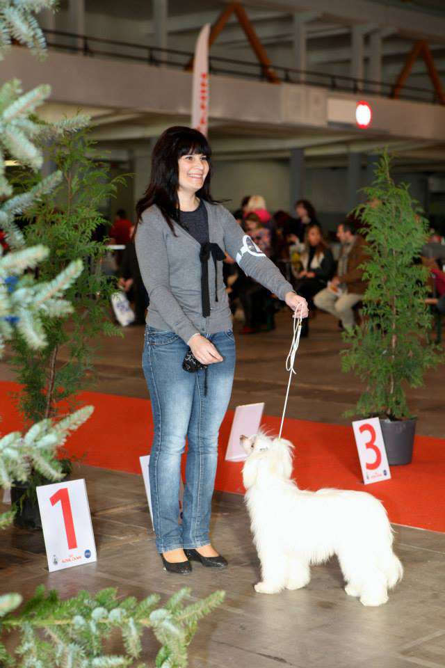 Leyla    Sasima(fci)