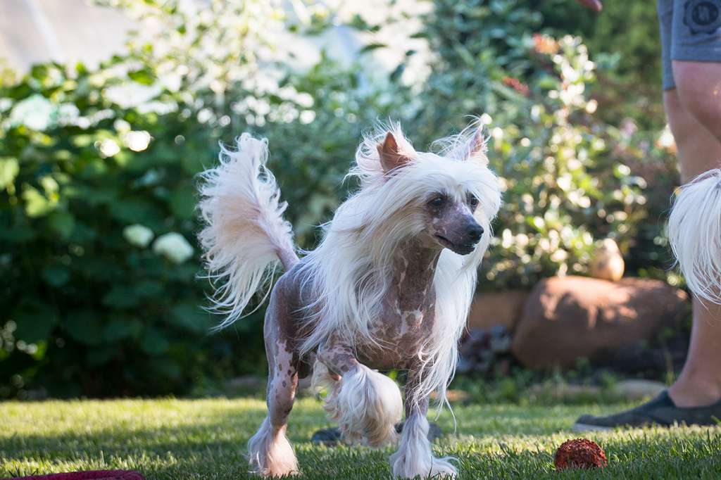 Olegro Katrin Its My Life