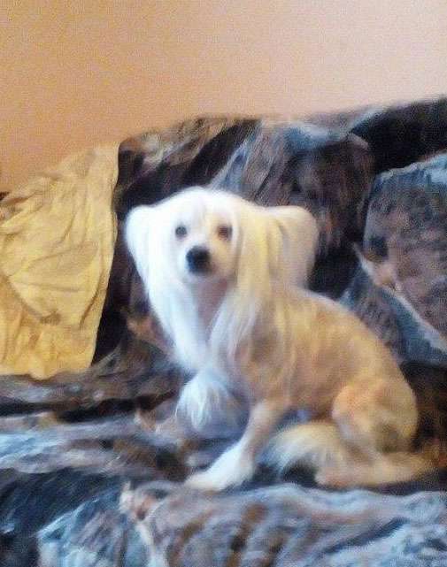 Subway Juzz For Us Vellar Pljus