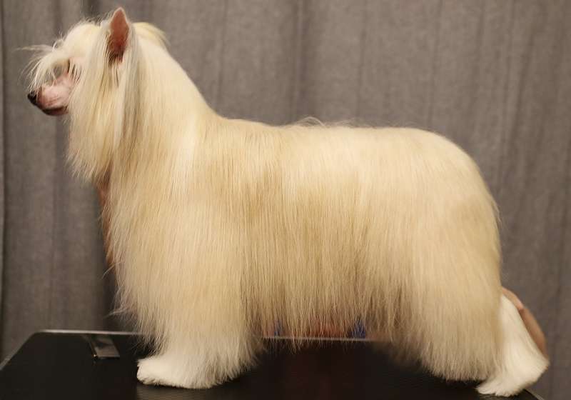 Greece Artagasamazis