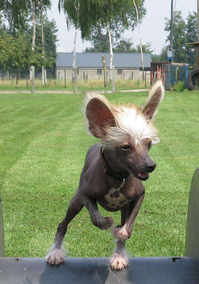 Best From Romano of ria's pride