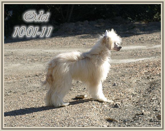 The world is not enough Della Castafiore