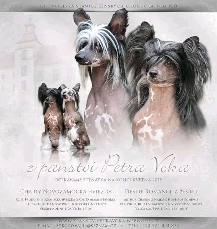 Desire Romance z Besíru