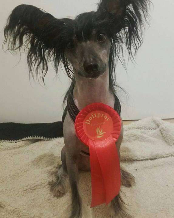 Marachinos Stormy Sky