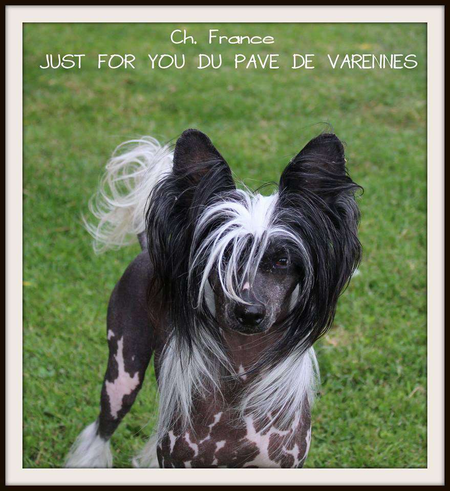 CH just for you  du pavé de varennes