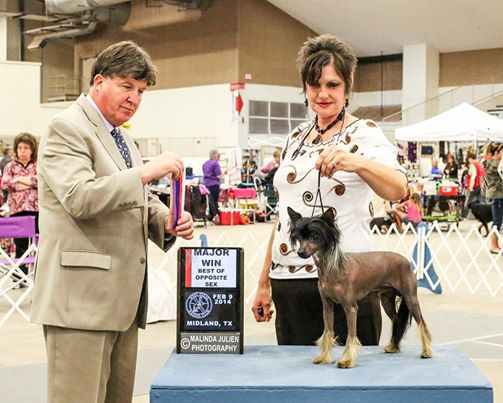 Libertys Hi-Life Ltl Devil I Cherish