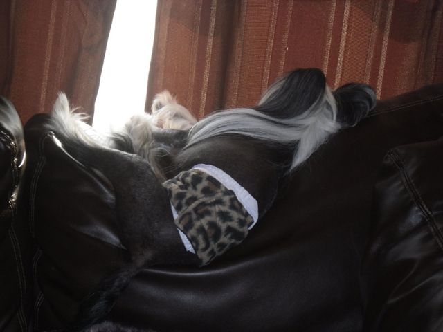 Expression-Knock Ur Socs Off Suber