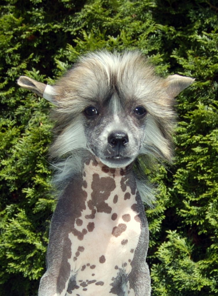 Finally Friday z Andelovy dlane