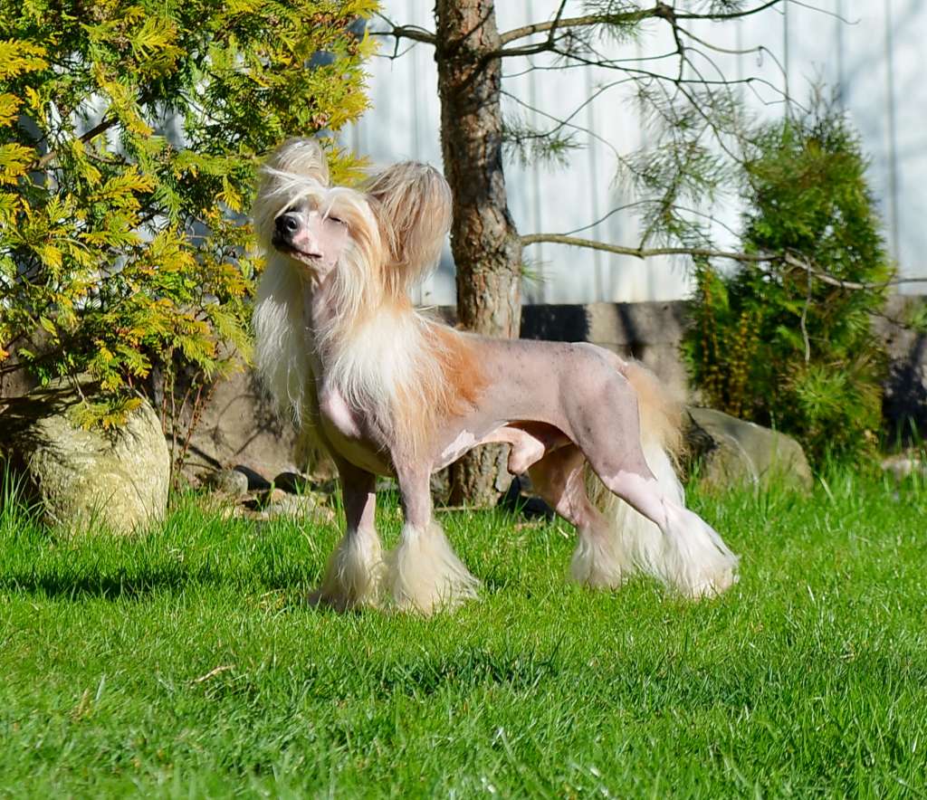 Etno Spirit Just Lucky