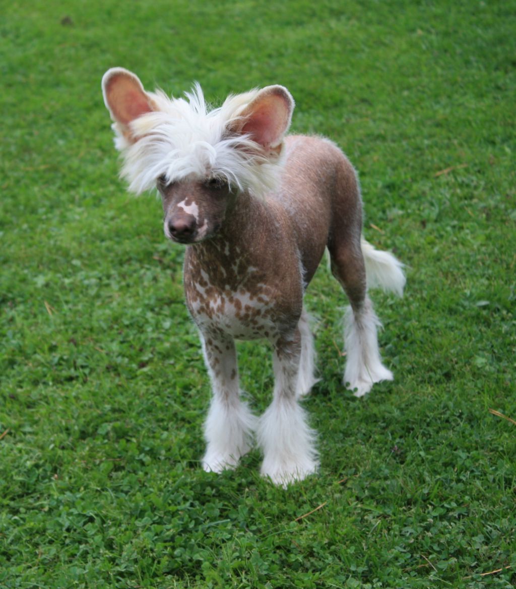 Love Bites Prisoners In Paradise