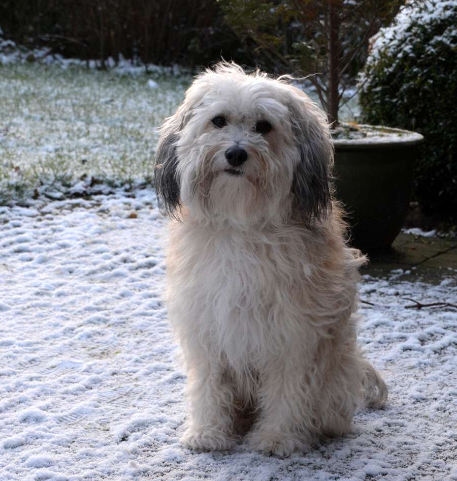 Big Love Of Gizzy's Home