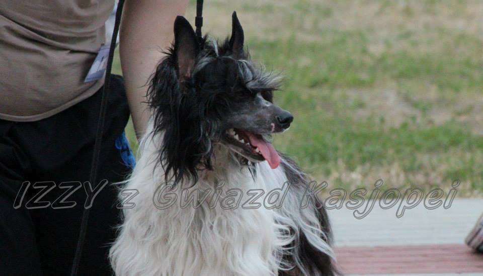 IZZY z Gwiazd Kasjopei