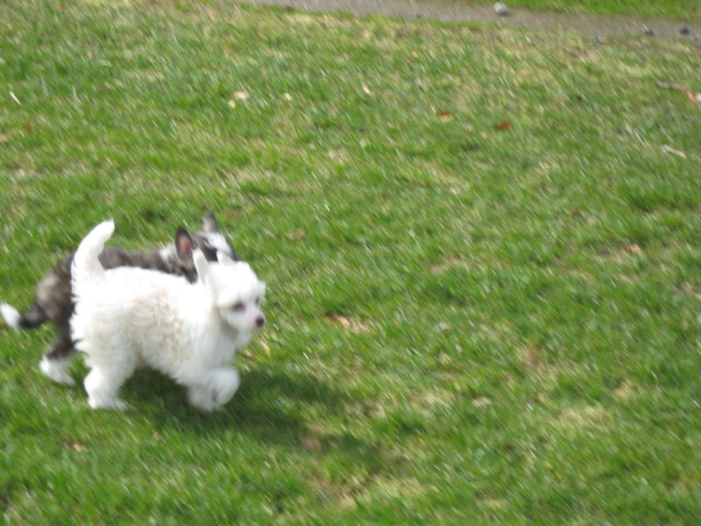 Already A Star Beauty