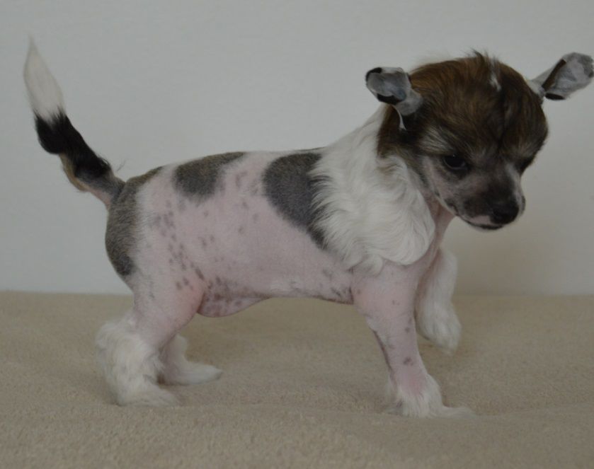 Hecaron Diamond De Zet