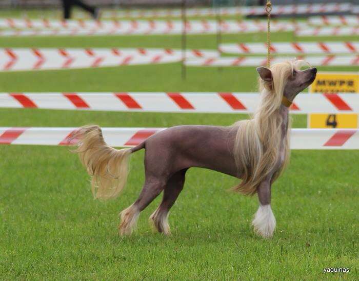 Yaquina's Endless summer