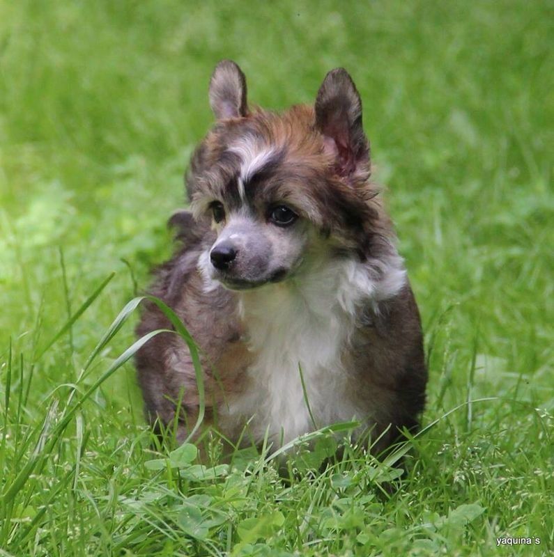 Yaquina's Embrace my Soul