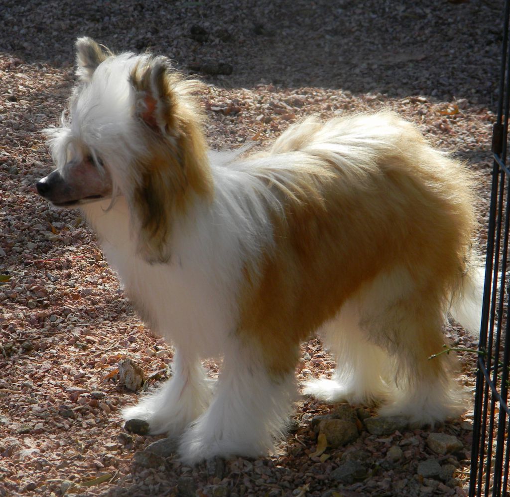 D'Nude's Only Diamonds Will Do