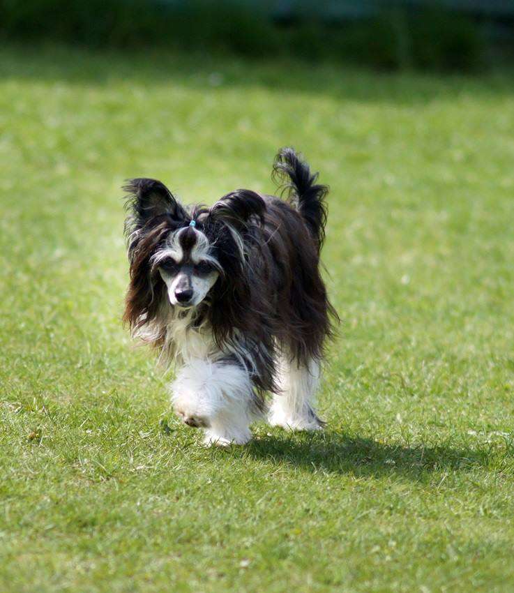 Nadea Of Love Diamond Place