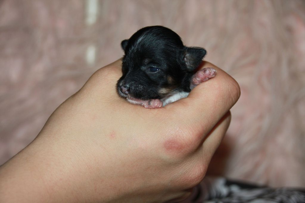 Nakeisha Andreya Diamond Place