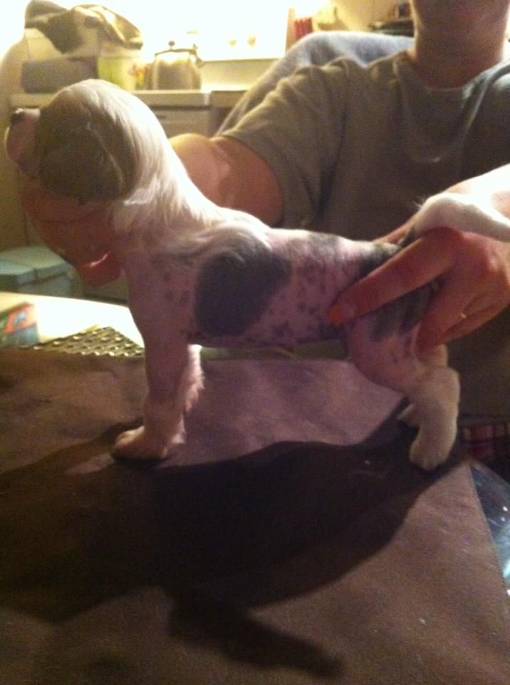 Bopar sun of San Diego