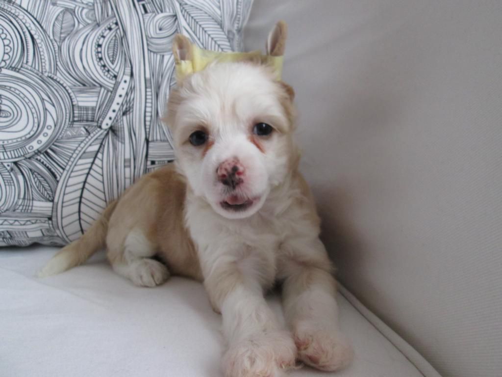 Nyu Art Porhayutshaya Babochra