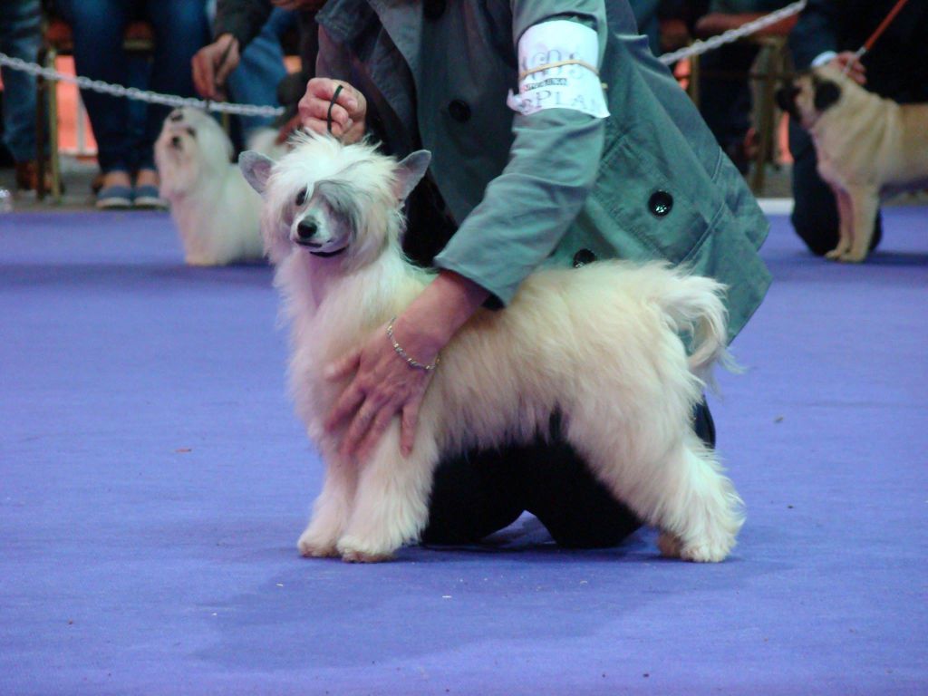 Patagonia Ranch Il Divo