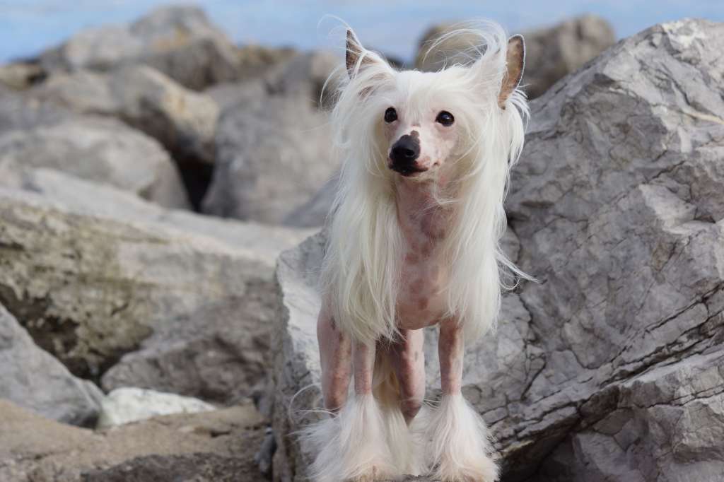 Circle Of Life Heybett