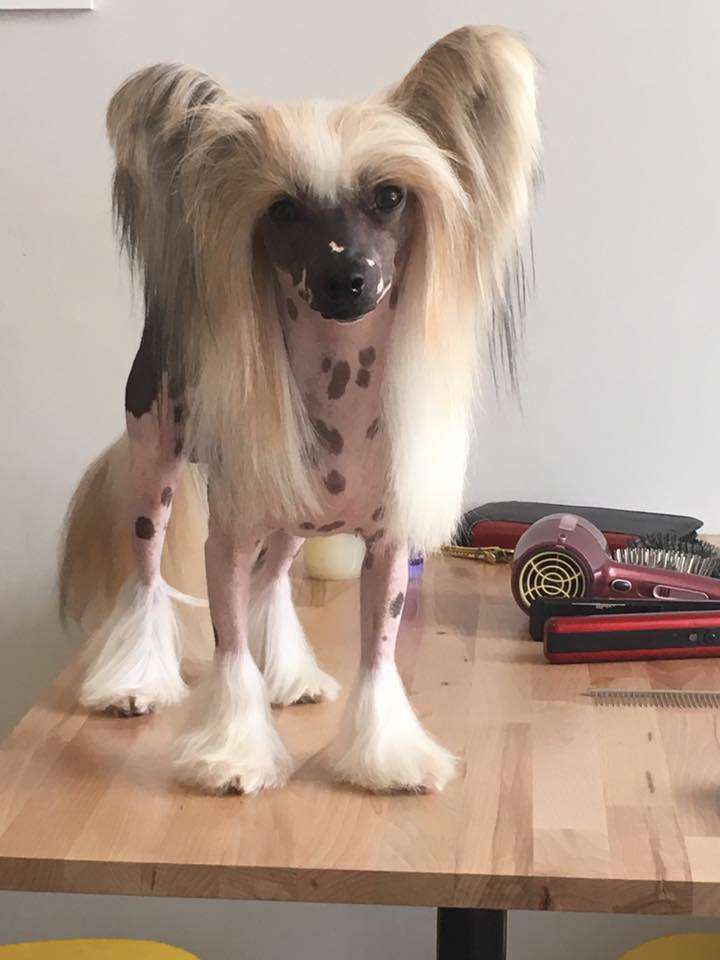 Causing Crowds  Heybett