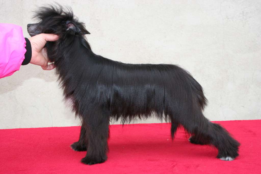 Koo Rah, Black Smoke deFageiro