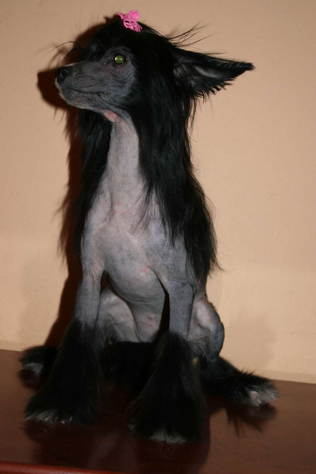 Kaleeda, Dark  Cloud deFageiro