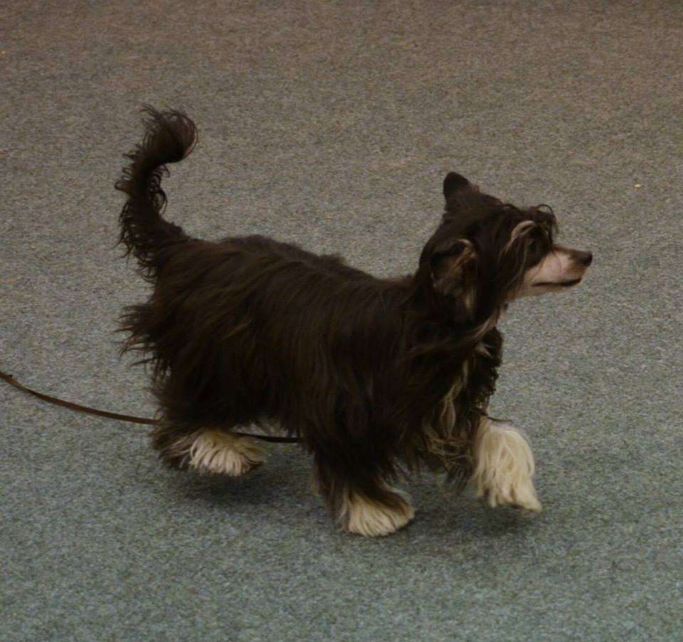 Magic of Success Melissa Crowe