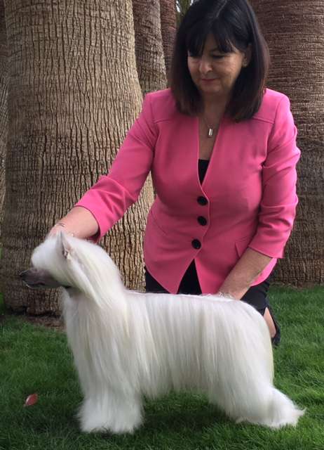 Wind The Lone Ranger at Puffin