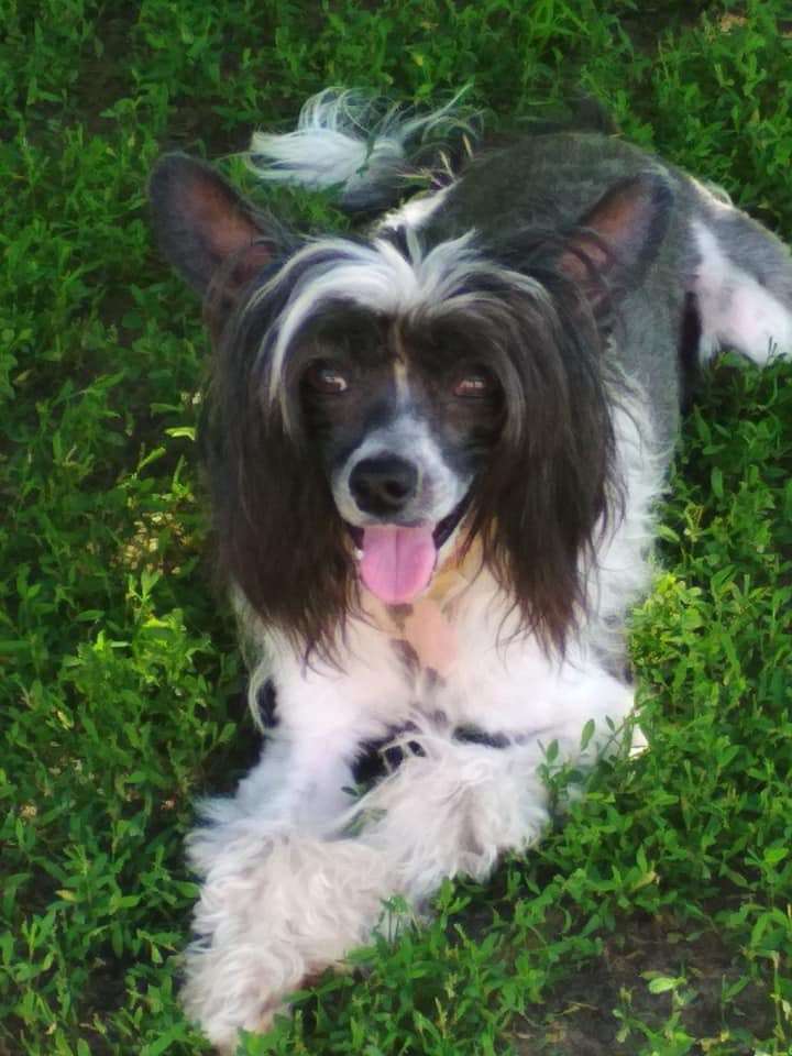 Energy Di Affable Smile