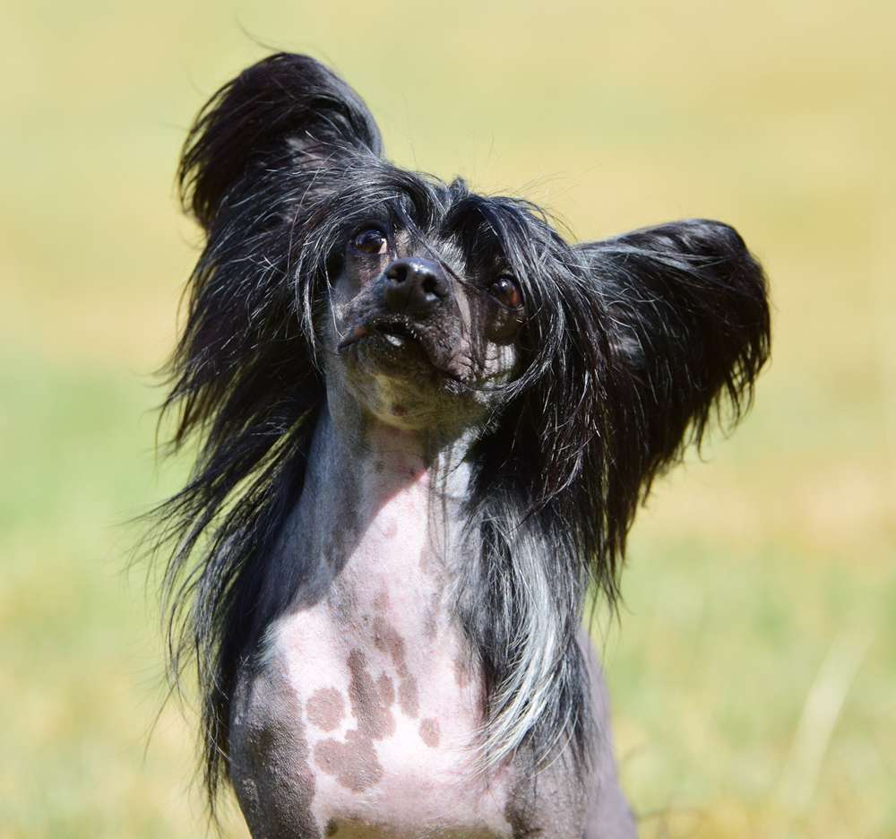 Energy Di All You Need Is Love