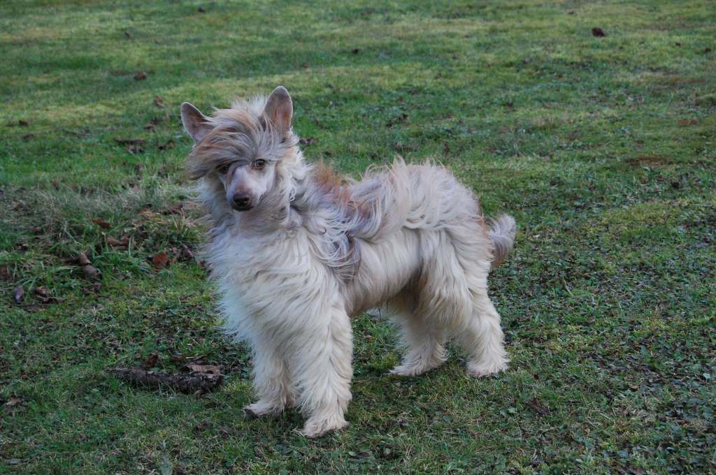 Savoir vivre Roingold