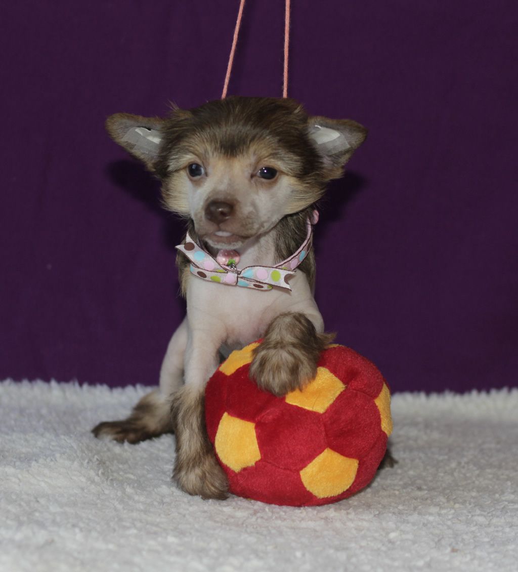 Vernisazh Mari Natali